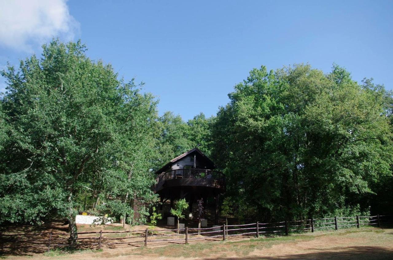 אורייק-דו-פריגור Cabane De La Mesange מראה חיצוני תמונה